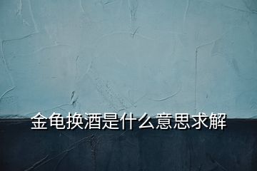 金龟换酒是什么意思求解