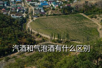 汽酒和气泡酒有什么区别