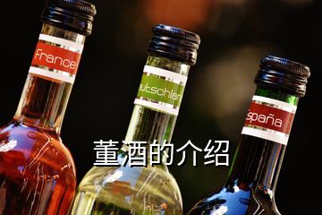 董酒的介绍