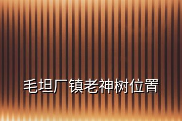 毛坦厂镇老神树位置