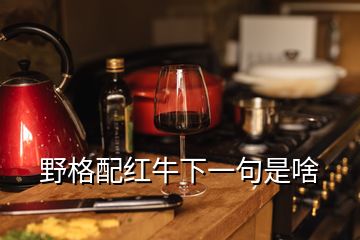 野格配红牛下一句是啥