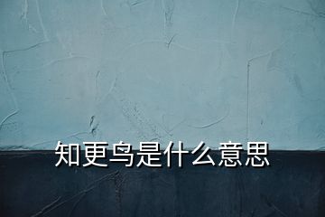 知更鸟是什么意思