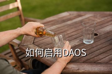 如何启用DAOS