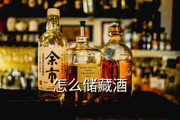 怎么储藏酒