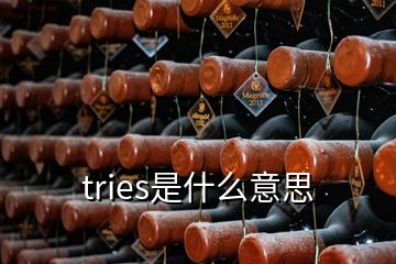 tries是什么意思