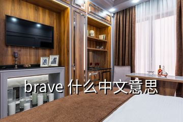 brave 什么中文意思