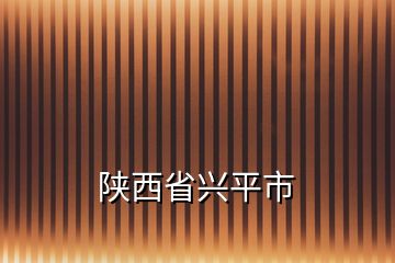 陕西省兴平市