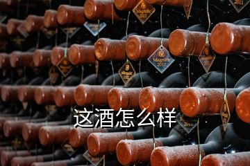 这酒怎么样