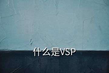 什么是VSP