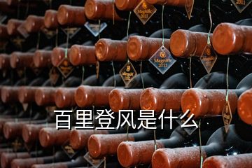 百里登风是什么