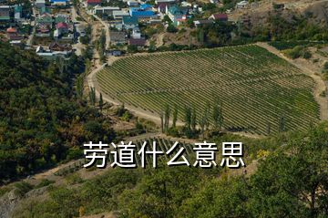 劳道什么意思