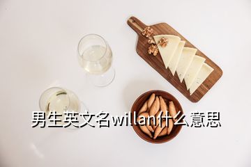 男生英文名willan什么意思