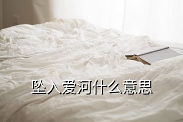 坠入爱河什么意思