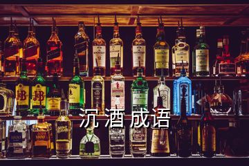 沉 酒 成语