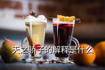 天之骄子的解释是什么