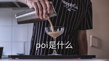 poi是什么