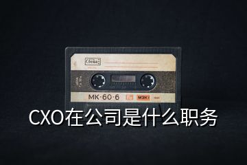 CXO在公司是什么职务