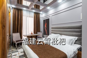 福建云霄枇杷