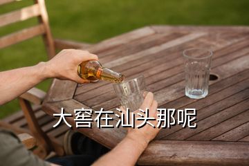 大窖在汕头那呢