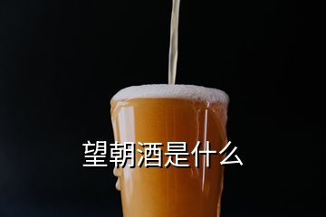 望朝酒是什么