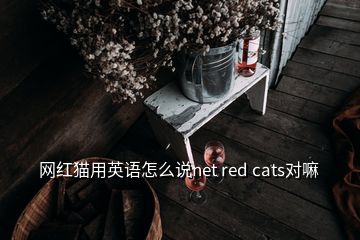 网红猫用英语怎么说net red cats对嘛