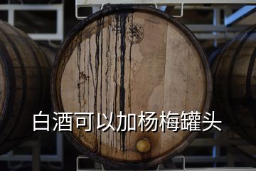 白酒可以加杨梅罐头