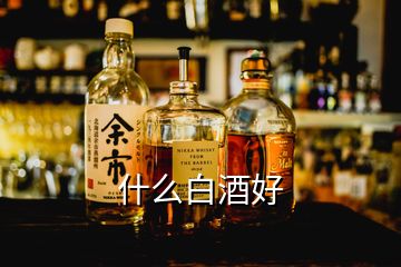 什么白酒好