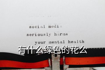 有什么绿色的花么