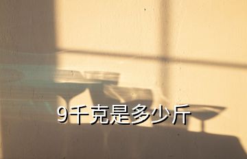 9千克是多少斤