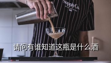 请问有谁知道这瓶是什么酒