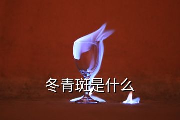 冬青斑是什么