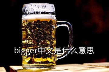 bigger中文是什么意思
