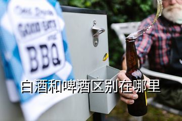 白酒和啤酒区别在哪里