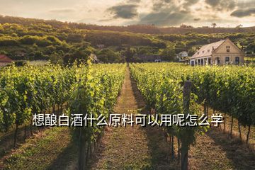 想酿白酒什么原料可以用呢怎么学