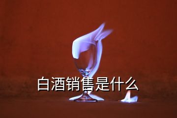 白酒销售是什么