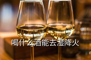 喝什么酒能去湿降火