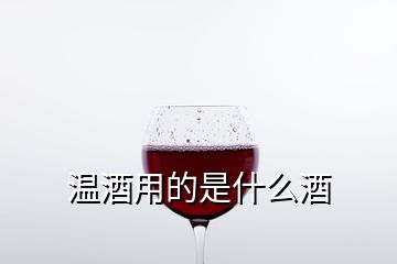 温酒用的是什么酒