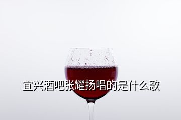 宜兴酒吧张耀扬唱的是什么歌