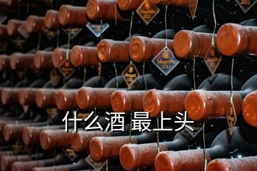 什么酒 最上头