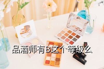 品酒师有B这个等级么