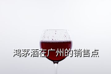 鸿茅酒在广州的销售点