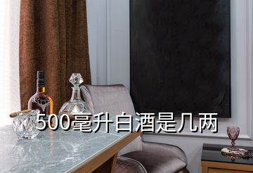 500毫升白酒是几两