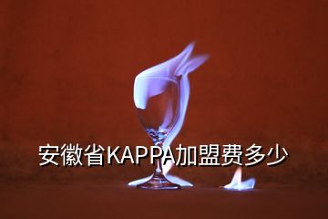 安徽省KAPPA加盟费多少