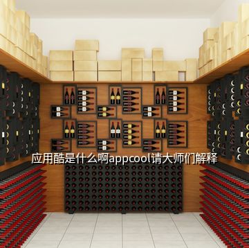 应用酷是什么啊appcool请大师们解释