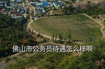 佛山市公务员待遇怎么样啊