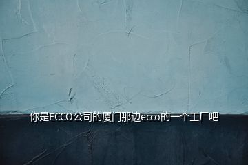 你是ECCO公司的厦门那边ecco的一个工厂吧