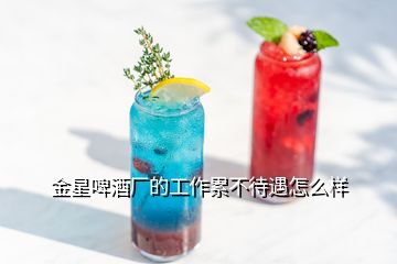 金星啤酒厂的工作累不待遇怎么样