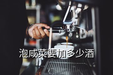 泡咸菜要加多少酒