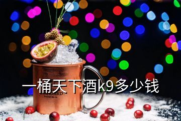 一桶天下酒k9多少钱