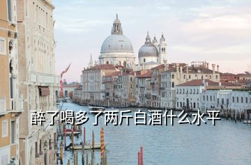 醉了喝多了两斤白酒什么水平